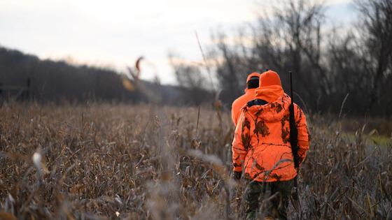 Bonus Antlerless Deer Harvest Authorizations Available For Purchase
