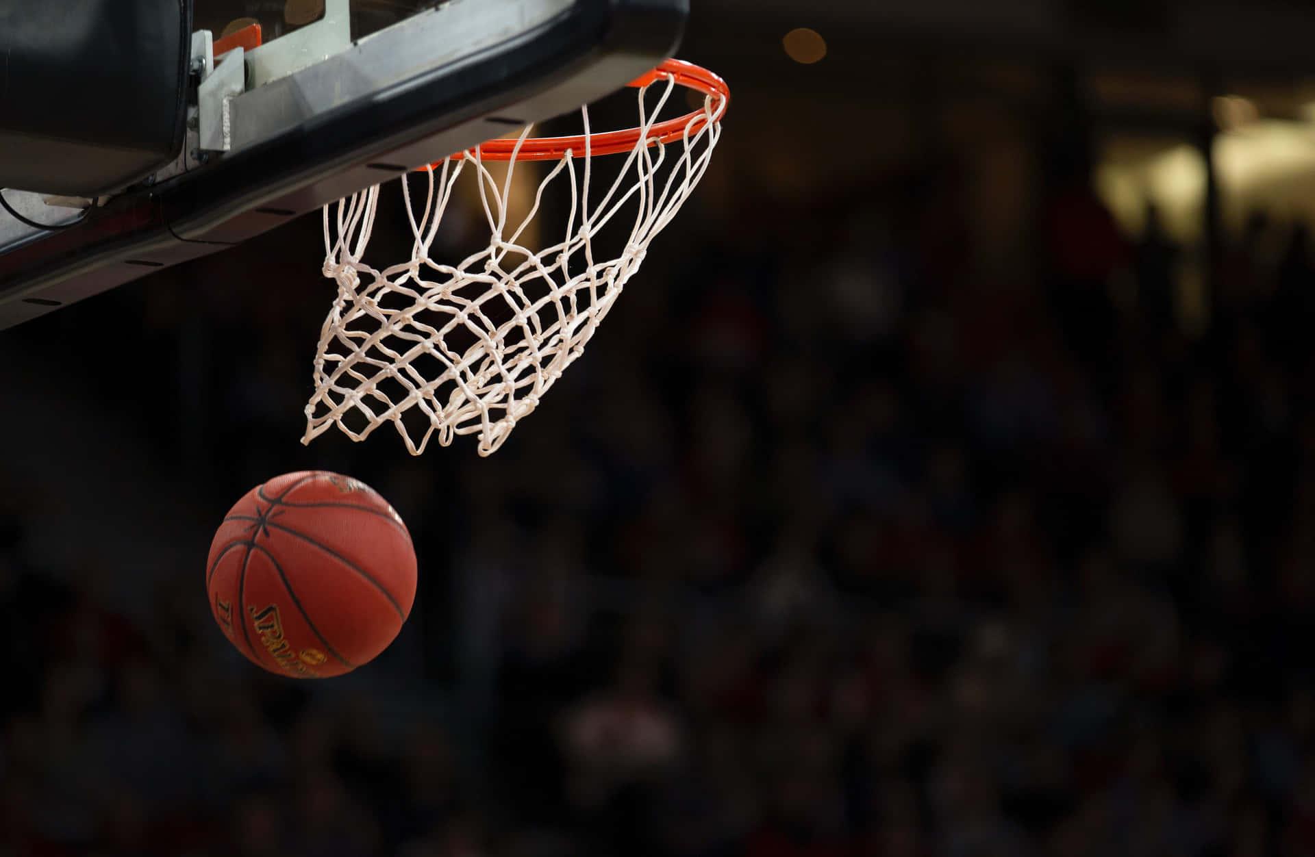 Newman Catholic names Kati Goetsch new girls’ basketball coach