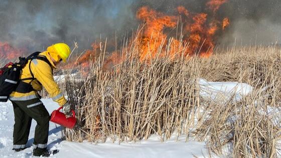 Prescribed Burns Starting Across Wisconsin