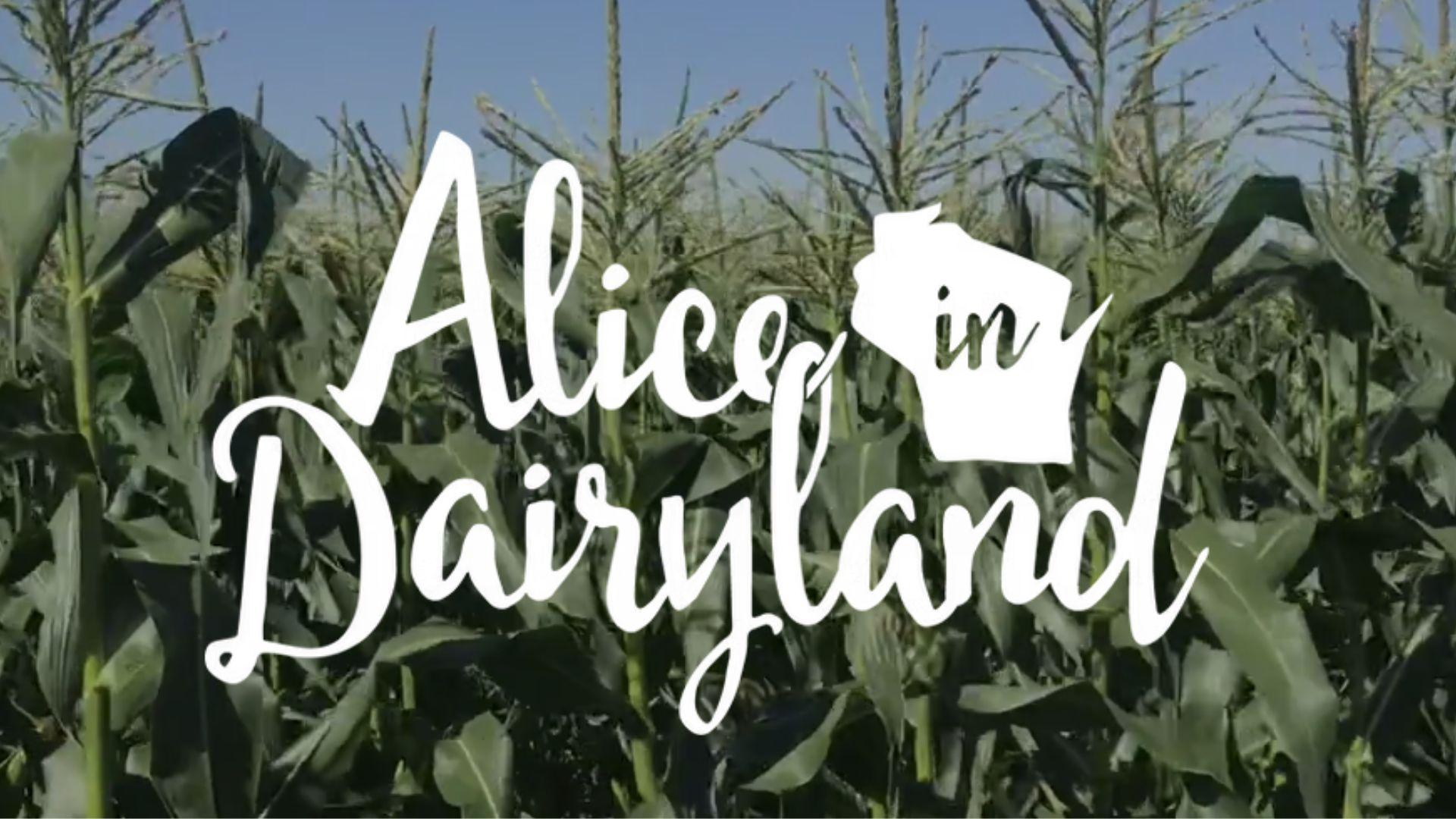 Want to be Alice in Dairyland? Applications are due Friday January 30th