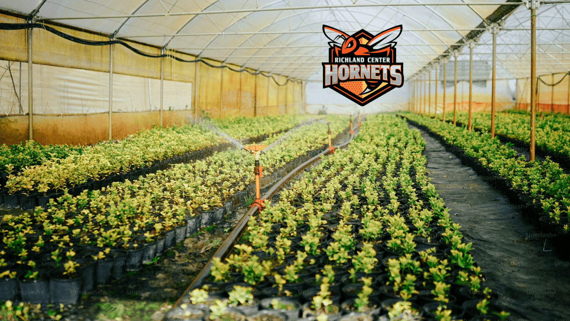 RCHS FFA plant sale to be held