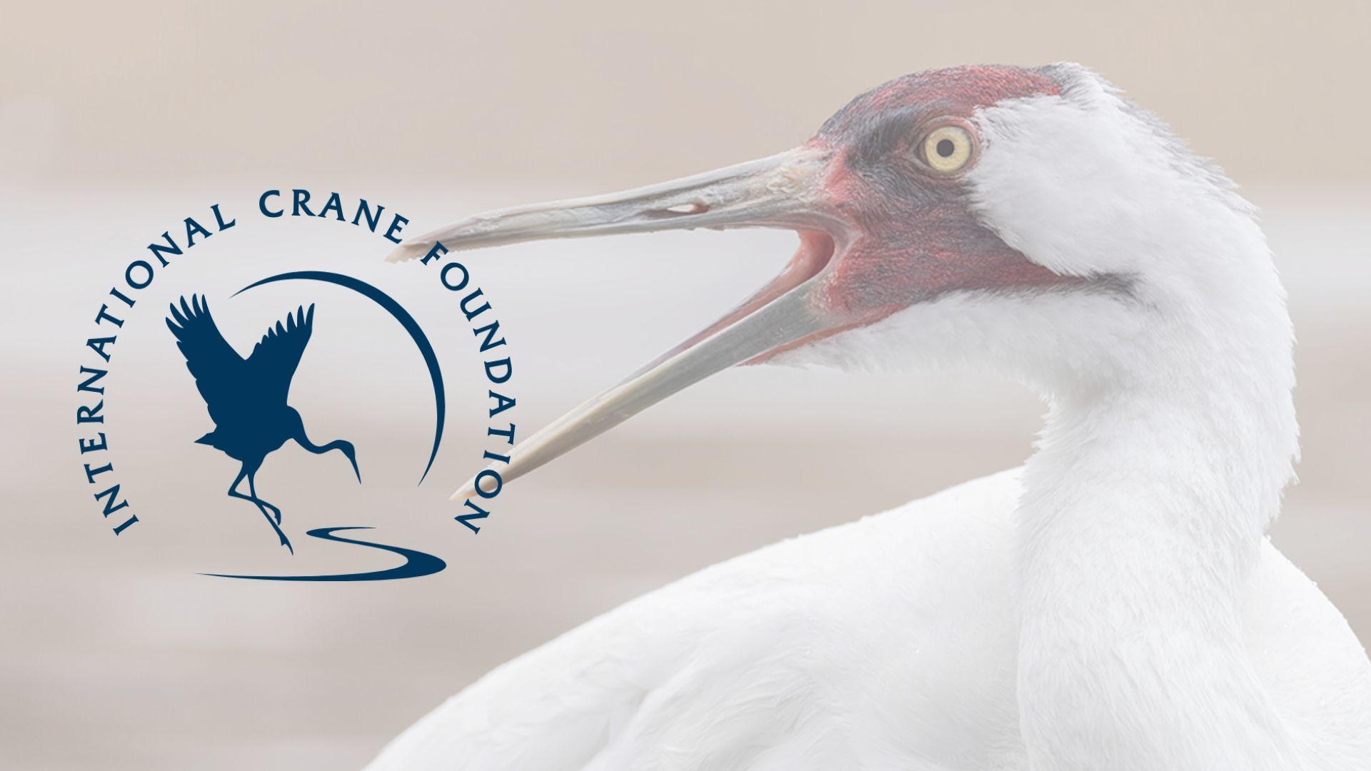 Evening with the Cranes to be held June 20